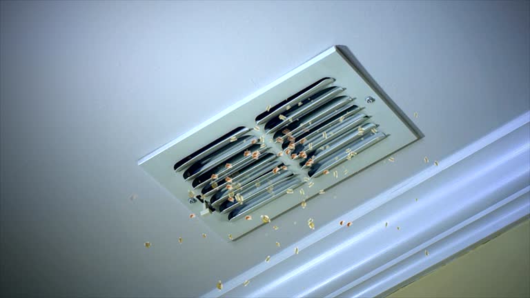 Best Affordable Air Duct Cleaning  in Nice, CA